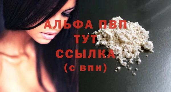 ешки Арсеньев