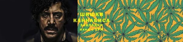 ешки Арсеньев