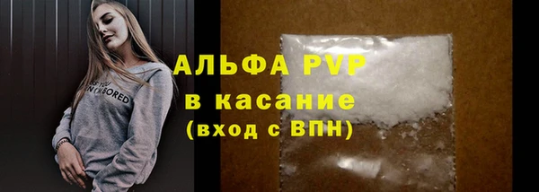 ешки Арсеньев