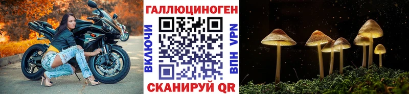 Псилоцибиновые грибы прущие грибы  цена наркотик  Новодвинск 
